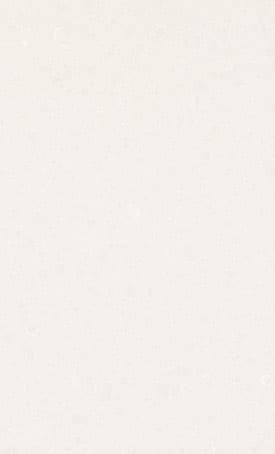 Штучний камінь Caesarstone ICON 4600 Organic White