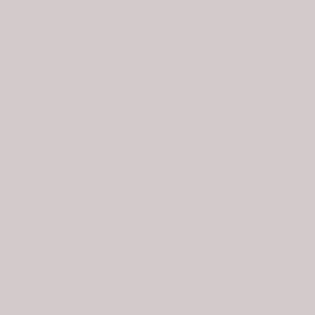 Фасад ZGODA INTELLECT IN24807 Platinum Grey