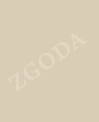 Фасад МДФ у плівці ПВХ ZGODA П137 Світлий сірий