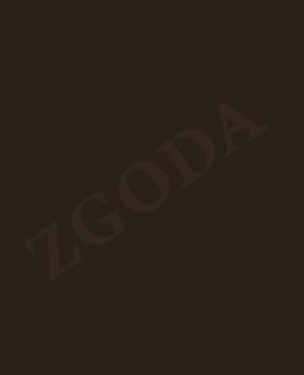 Фасад МДФ у плівці ПВХ ZGODA П20 Шоколад глянець